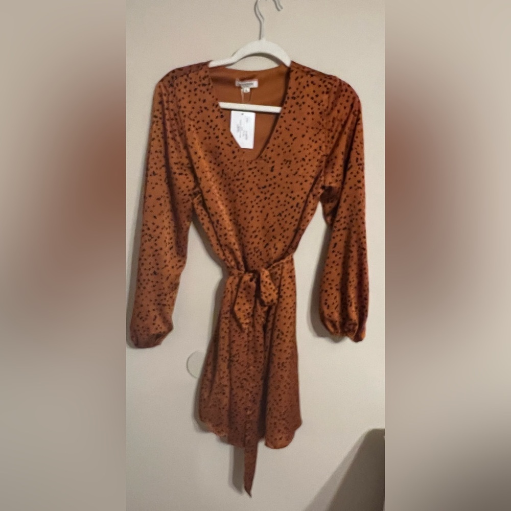 NWT Dotted Satin Dress